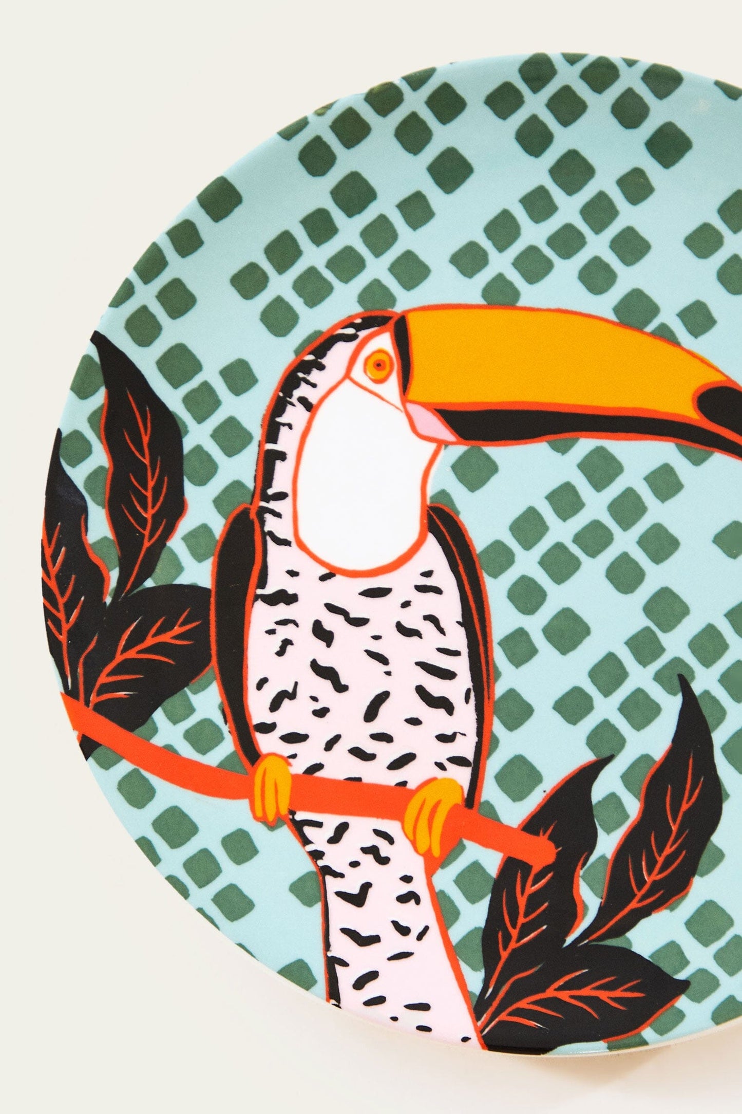  Toucan Plate