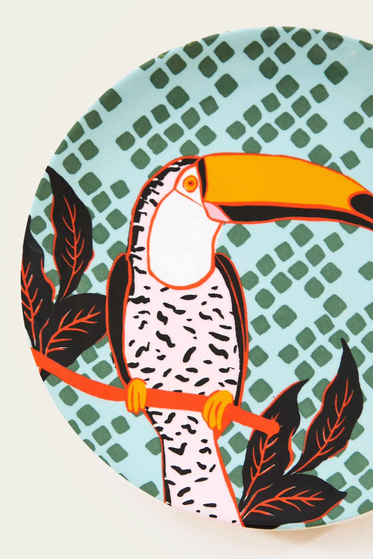  Toucan Plate