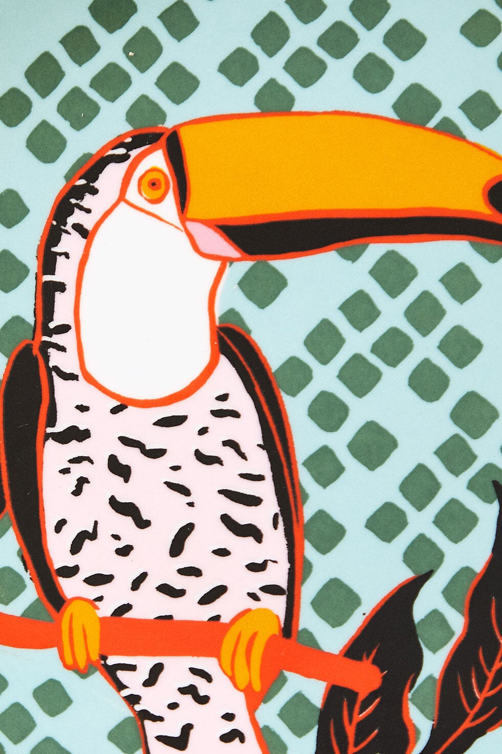  Toucan Plate