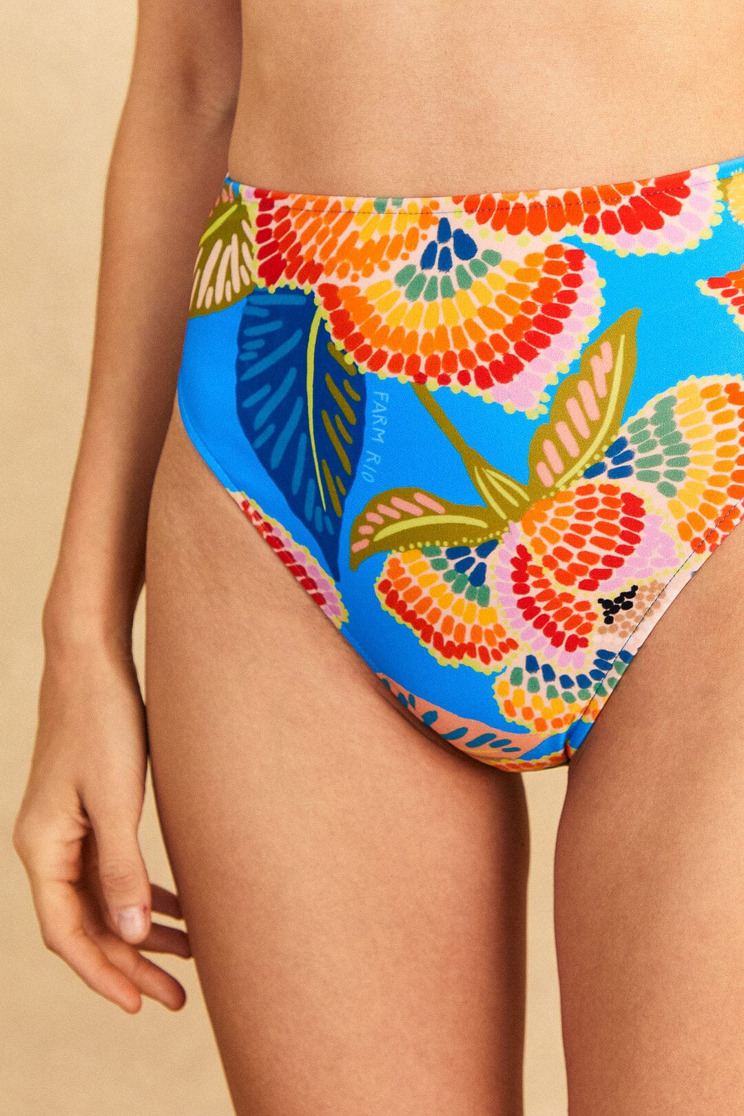 Farm Rio Dewdrop Spectrum High Waisted Bikini Bottom