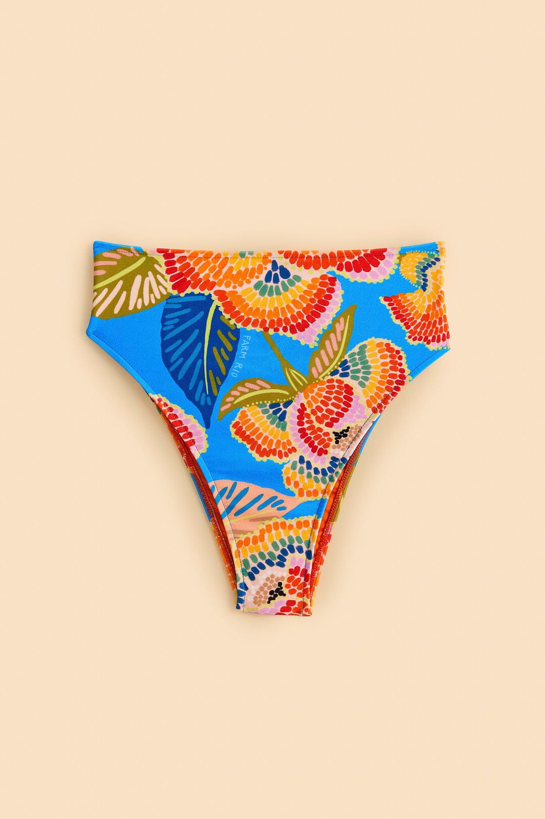 Farm Rio Dewdrop Spectrum High Waisted Bikini Bottom