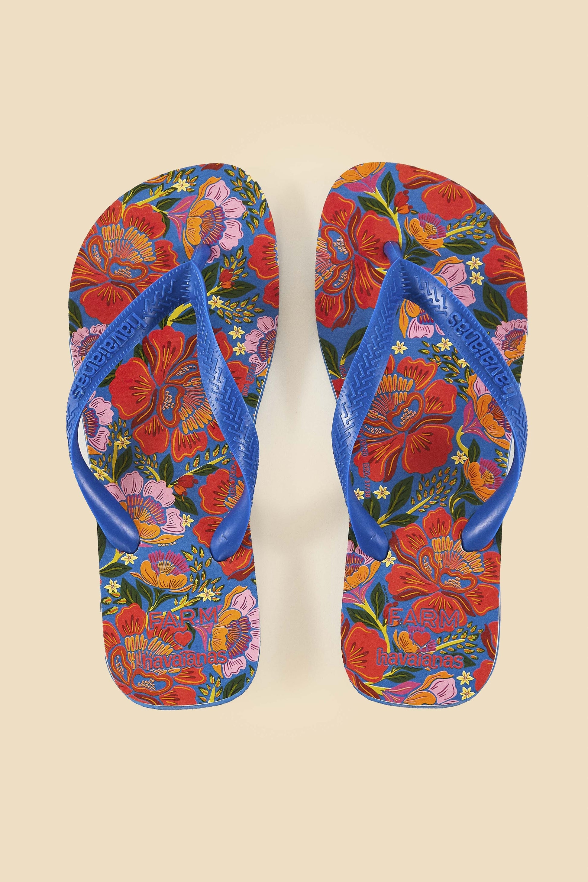Farm Rio Blue Flowers Garden Havaianas Sandals