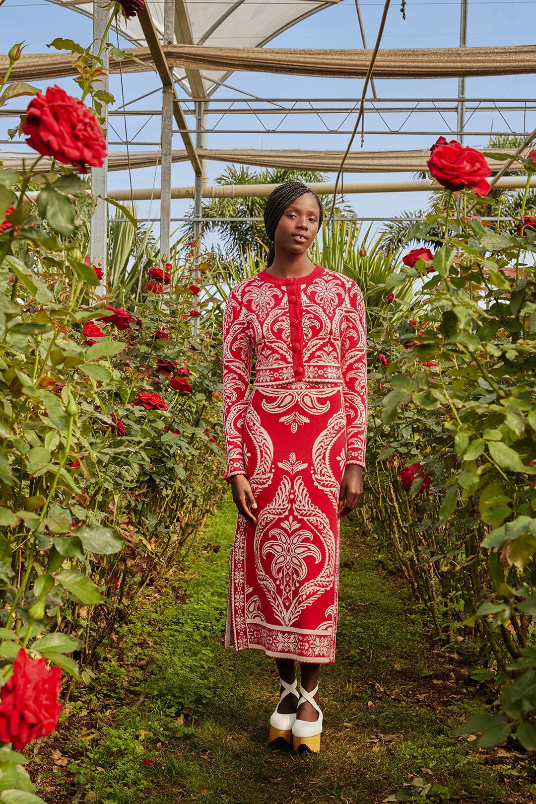  Red Tropical Jacquard Knit Cardigan
