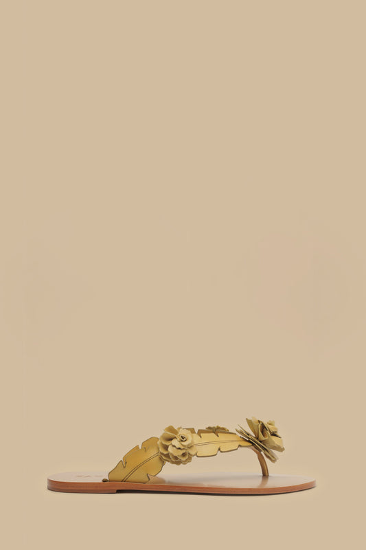  Buttermilk Blooming Flat Sandal