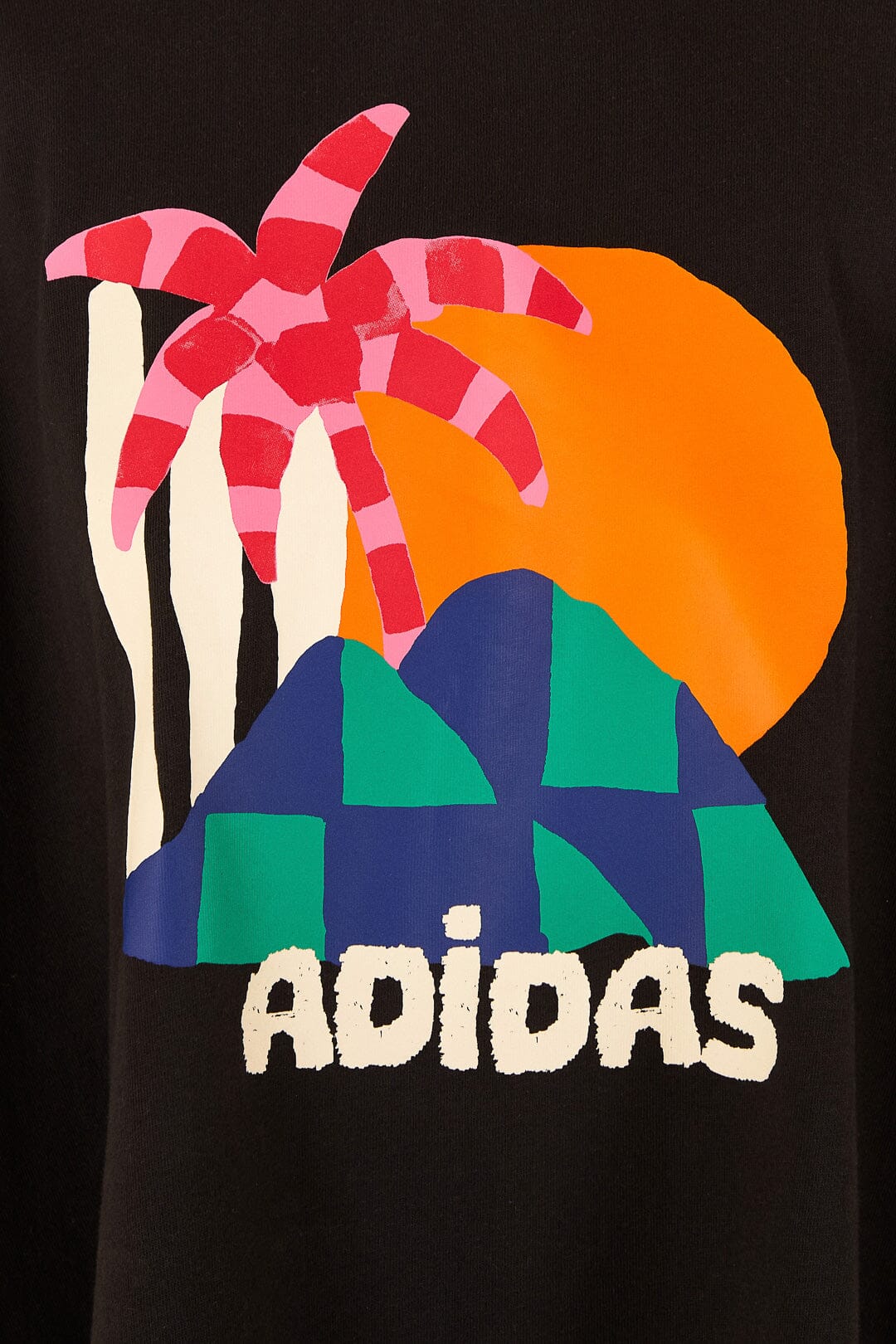 Farm Rio Adidas Farm Gfx Tee Black